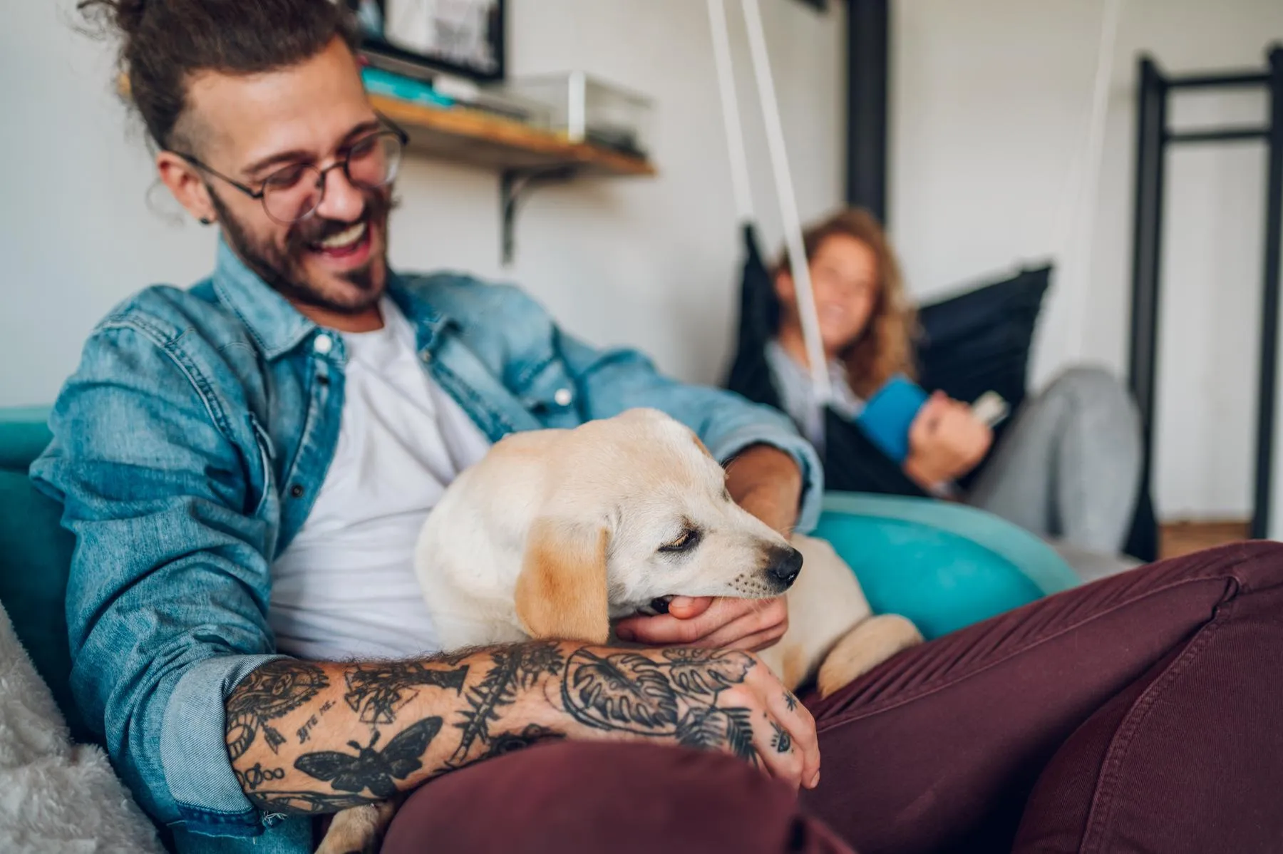my dog smells like cigarette smoke What cuts smell on dogs? The Silent Victims: How Secondhand