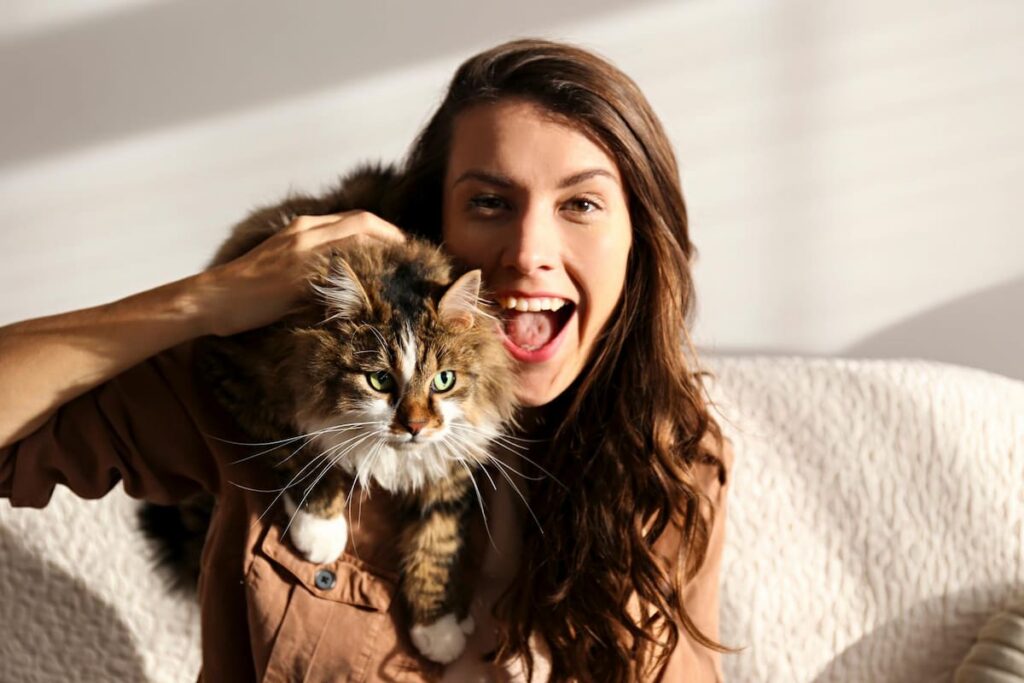 Portrait of young woman holding cute siberian cat with green eyes. Female hugging her cute long hair kitty. Background, copy space, close up. Adorable domestic pet concept.