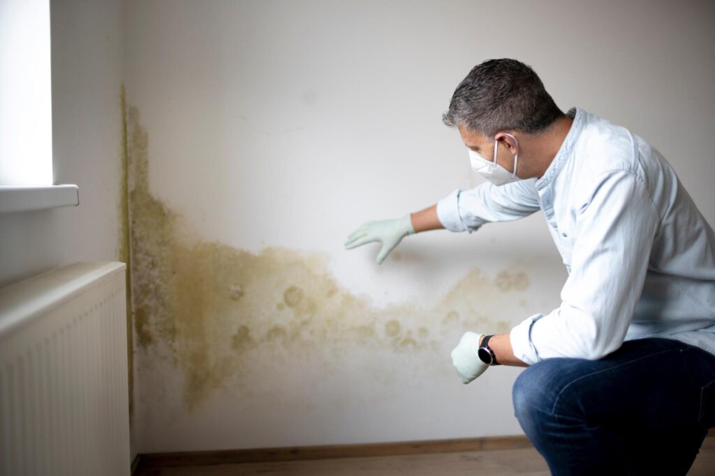 Man with mask on and blue shirt in front of wall with mold