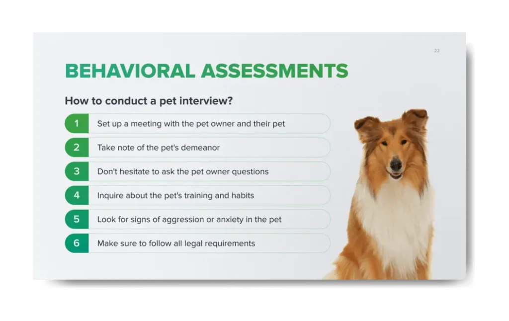Pet-Friendly Rentals 101: A Comprehensive Guide for Landlords