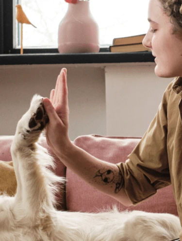 The Pet-Friendly Landlord: A Guide to Welcoming Pets into Your Rental Property
