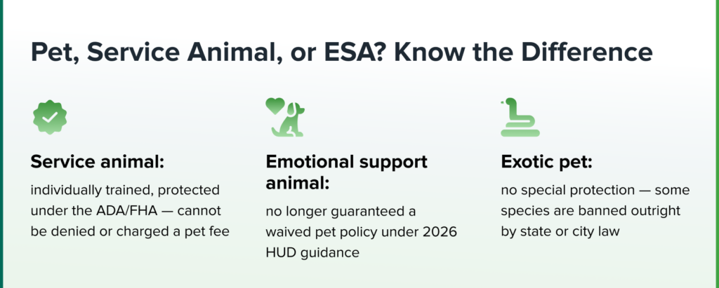 Pet Service Animal or ESA Know the Difference