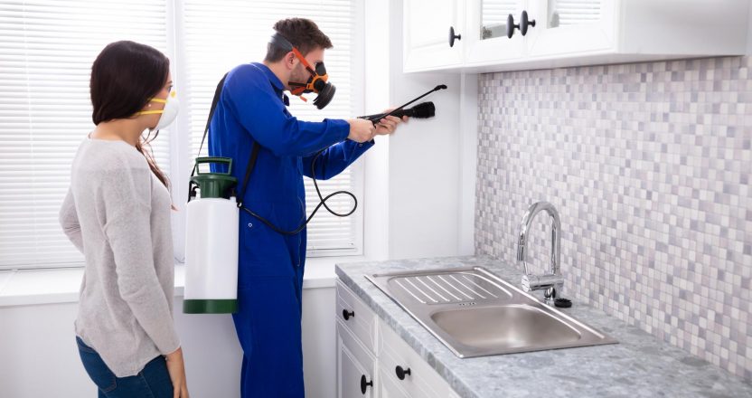Woman And Worker Spraying Pesticide In Kitchen