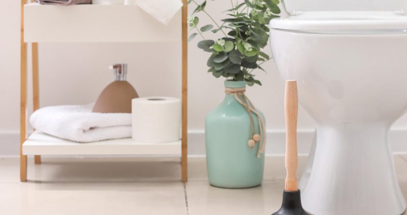 Plunger near toilet bowl in bathroom