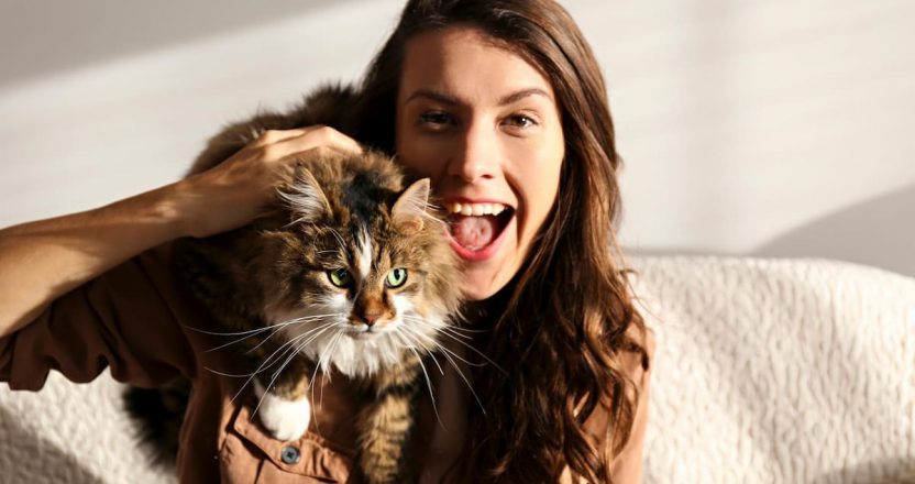 Portrait of young woman holding cute siberian cat with green eyes. Female hugging her cute long hair kitty. Background, copy space, close up. Adorable domestic pet concept.
