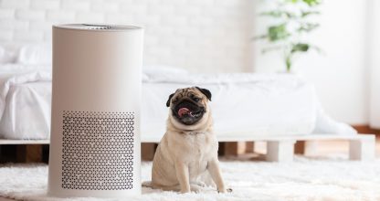 Dog Pug Breed and Air purifier in cozy white bed room for filter and cleaning removing dust PM2.5 HEPA in home,for fresh air and healthy life,Air Pollution Concept