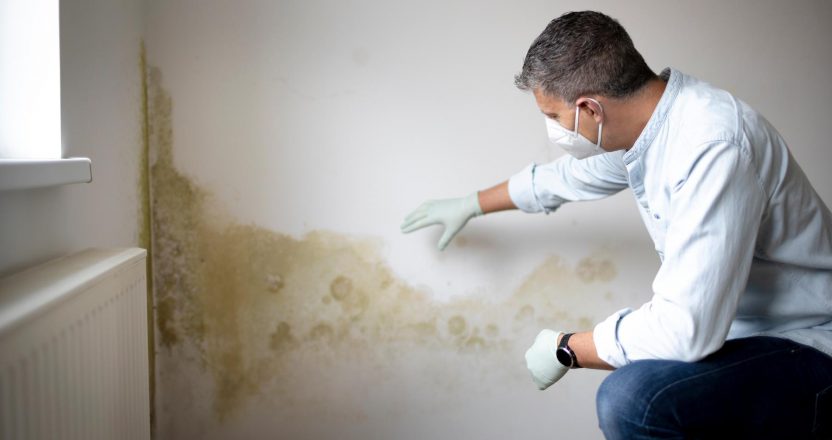 Man with mask on and blue shirt in front of wall with mold