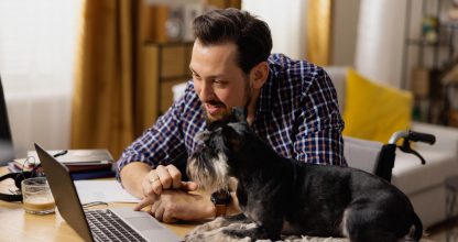 A man in a wheelchair sits at his desk and browses websites dedicated to dog beds. The man becomes interested in one of them and shows it to his dog. The interested pet looks at the screen
