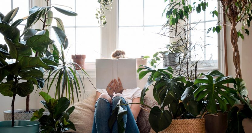 Young girl sitting by a window with houseplants reading a book covering her face