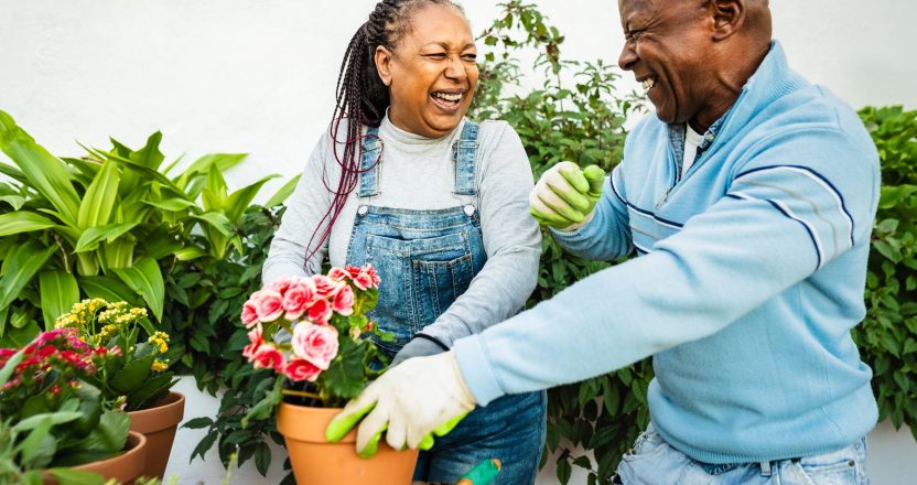 Happy African senior people gardening together outdoor
